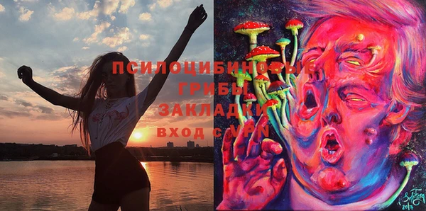 mix Армянск