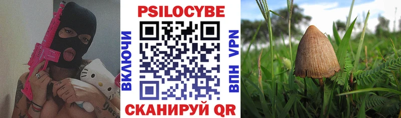 Галлюциногенные грибы Psilocybine cubensis Похвистнево
