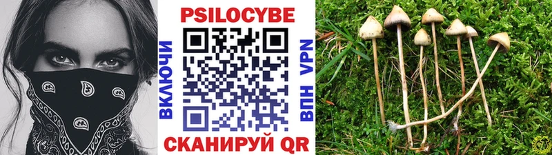 ОМГ ОМГ онион  наркотики  Похвистнево  Галлюциногенные грибы Magic Shrooms 